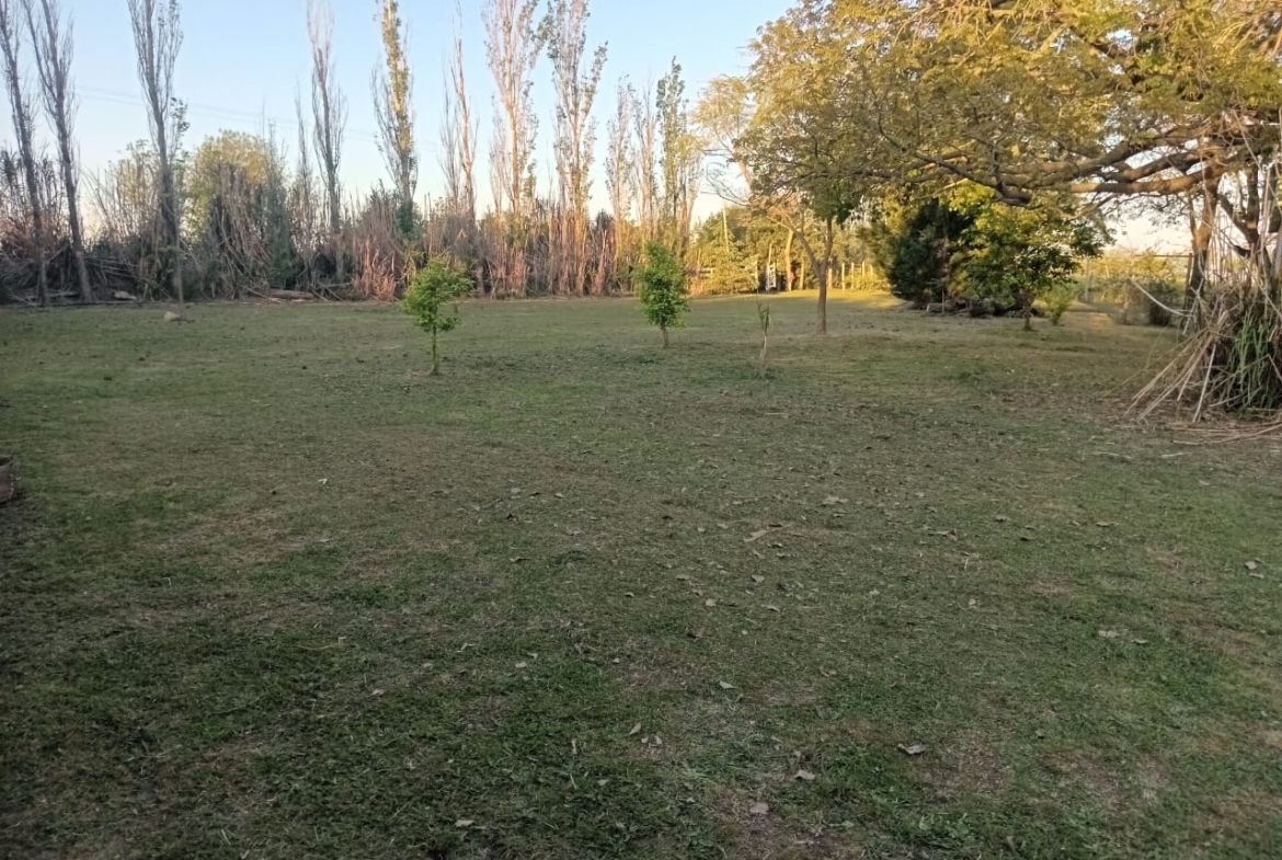 🍇 Venta de Campo con Viñedos en Colonia Rivadavia – Entre Ríos