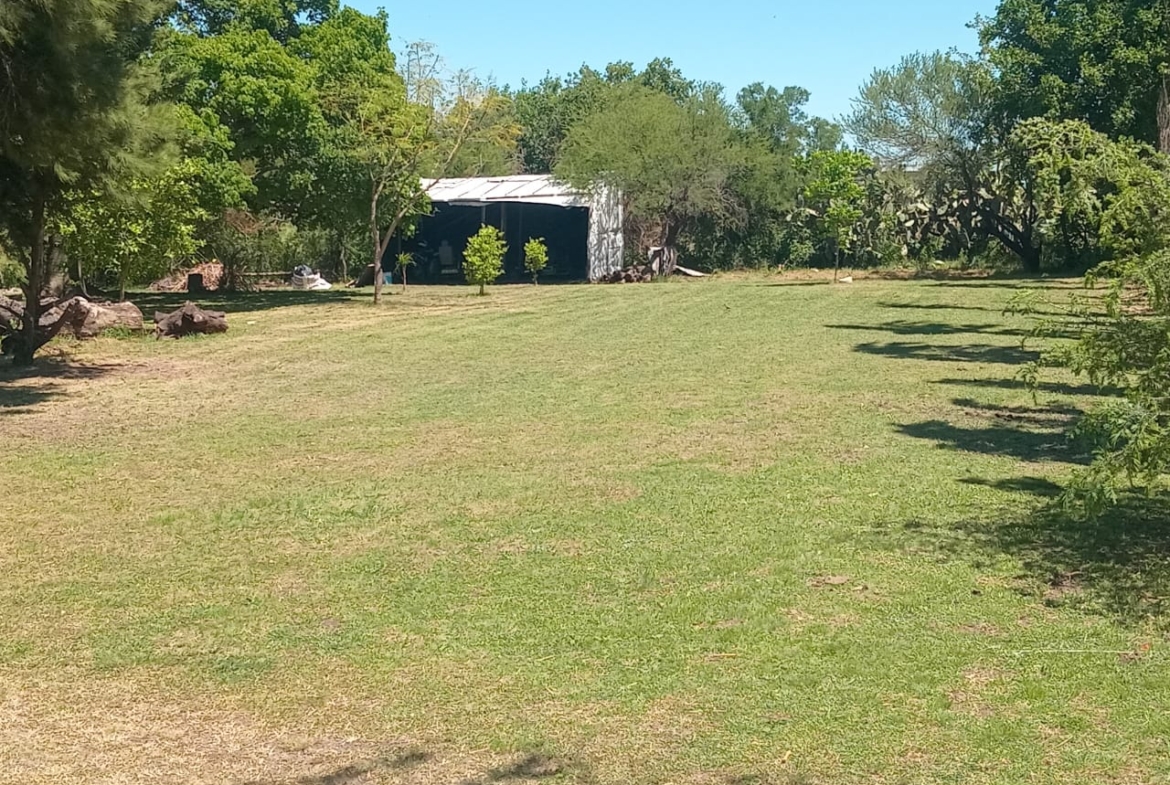 🍇 Venta de Campo con Viñedos en Colonia Rivadavia – Entre Ríos